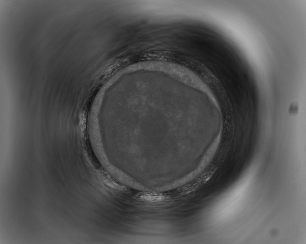 X0000099510767200806121439