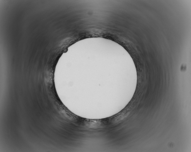 X0000099510768200806121439