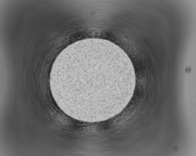 X0000099510769200806121438