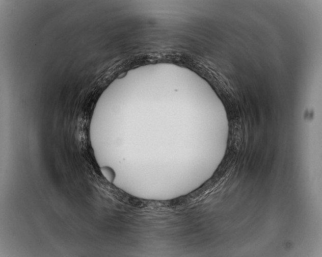 X0000099510770200806121438
