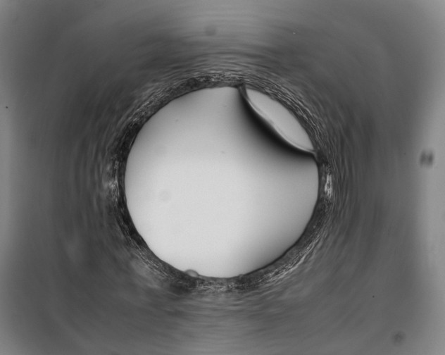 X0000099510771200806121438