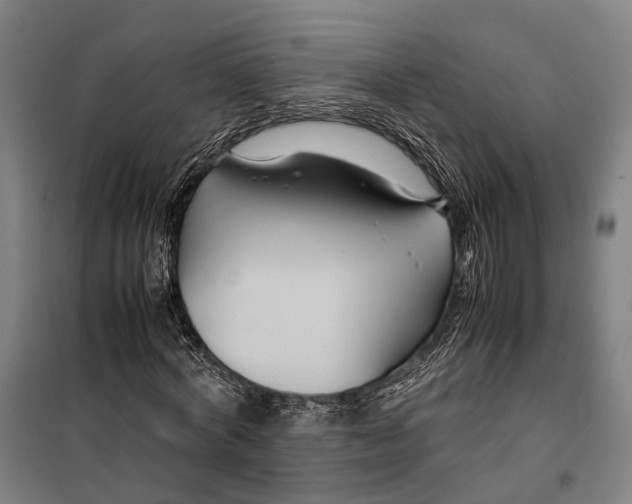 X0000099510772200806121438