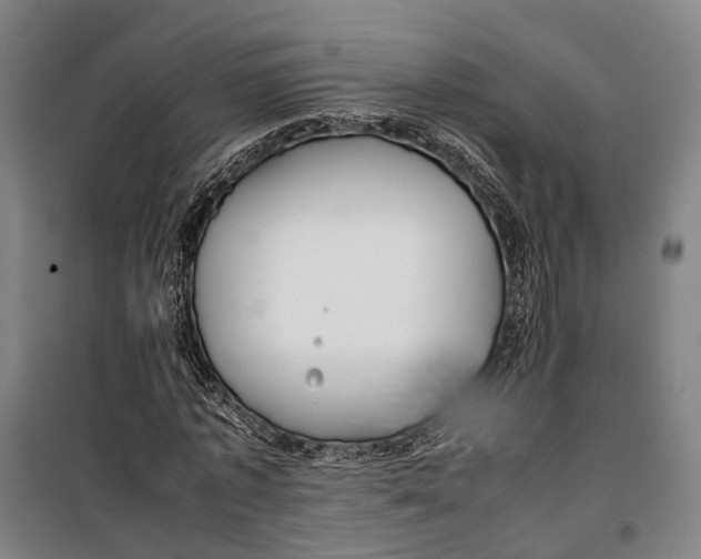 X0000099510773200806121438