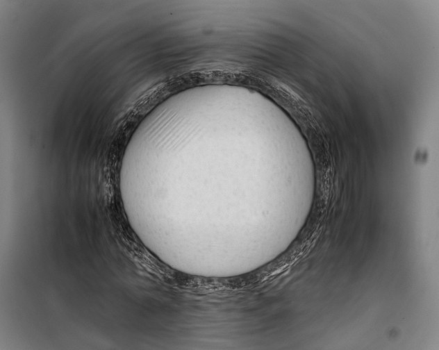 X0000099510774200806121438