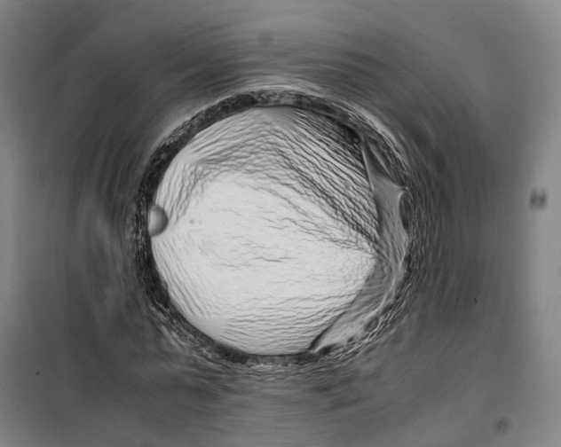 X0000099510775200806121438