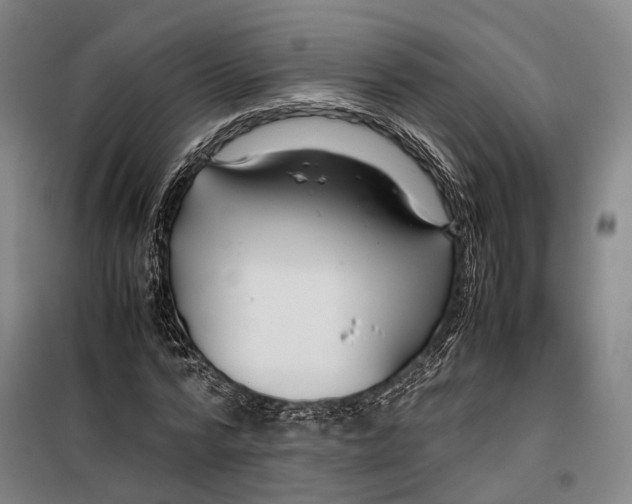 X0000099510776200806121438
