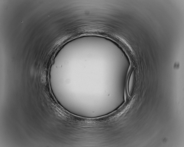 X0000099510777200806121438