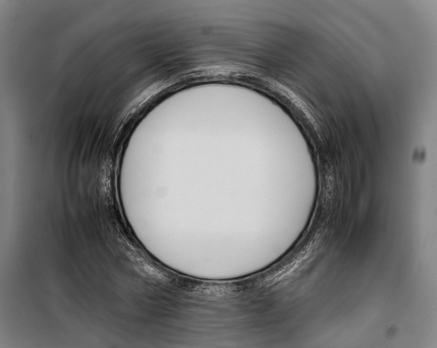 X0000099510778200806121438