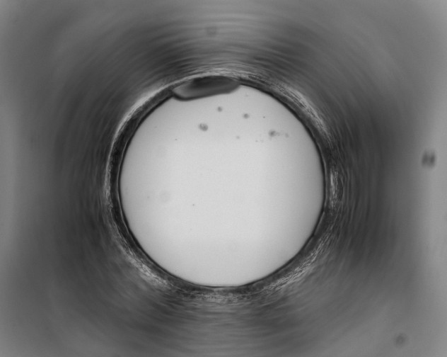 X0000099510780200806121438