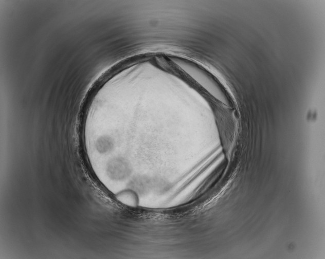 X0000099510783200806121438