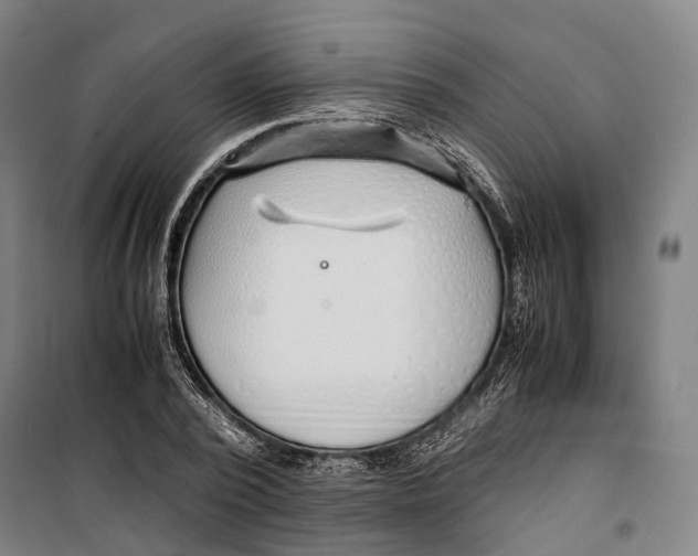X0000099510784200806121438