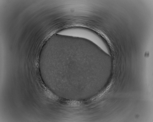 X0000099510785200806121438