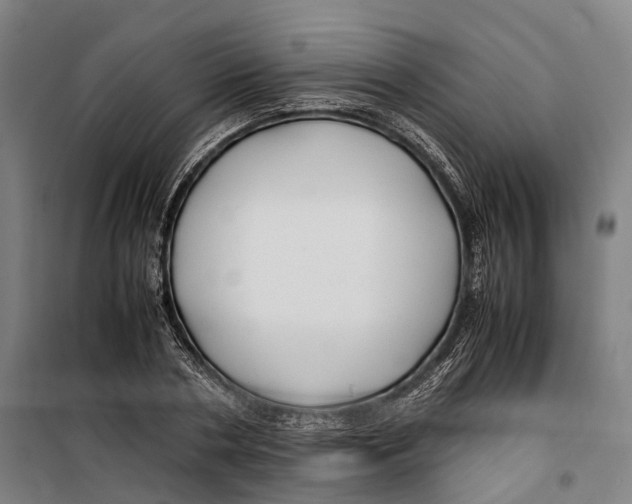 X0000099510786200806121438