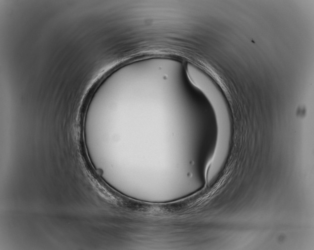 X0000099510787200806121438