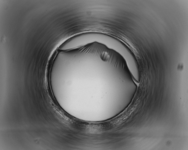 X0000099510788200806121438
