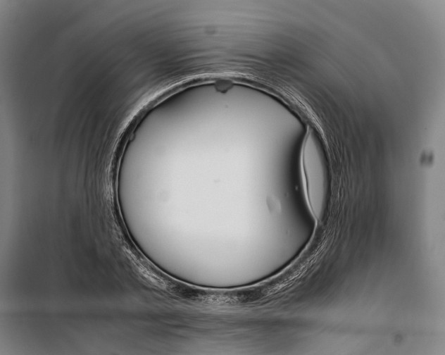 X0000099510789200806121438