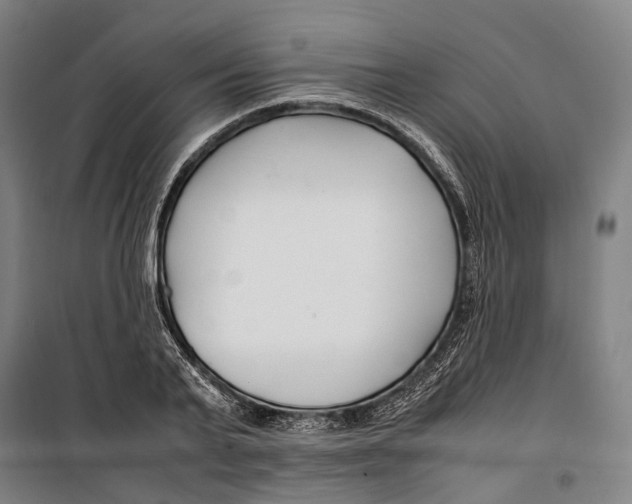 X0000099510791200806121438