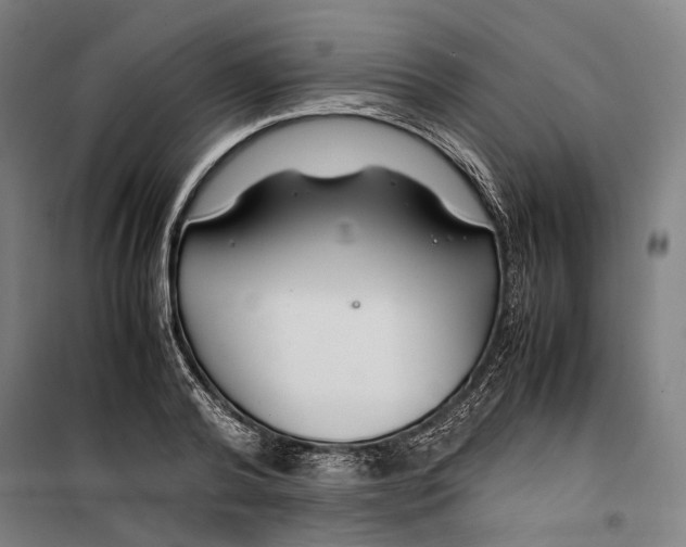 X0000099510792200806121438