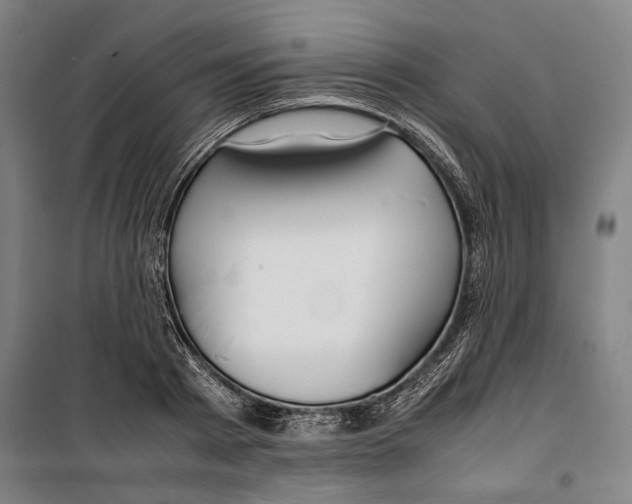 X0000099510793200806121438