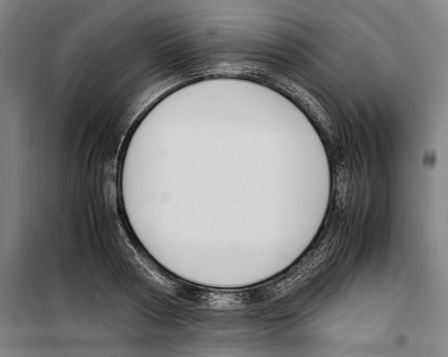 X0000099510794200806121438