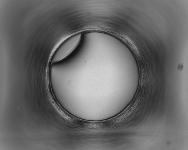 X0000099510796200806121438