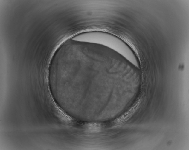 X0000099510797200806121438