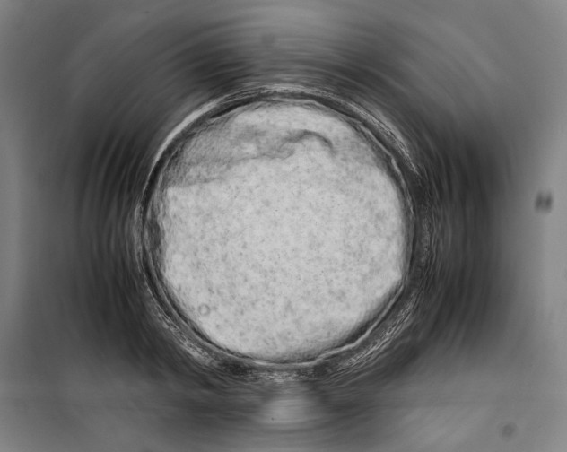 X0000099510798200806121438
