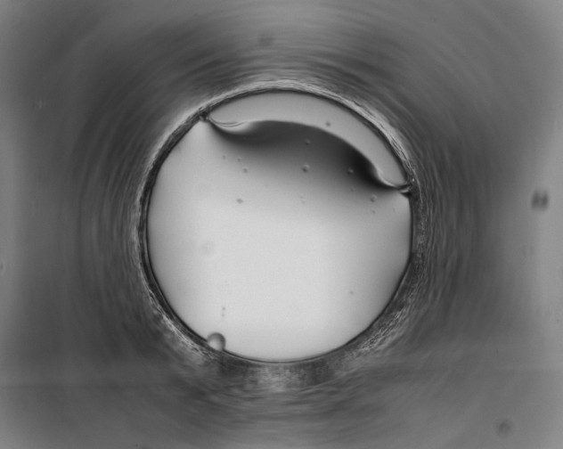 X0000099510799200806121438