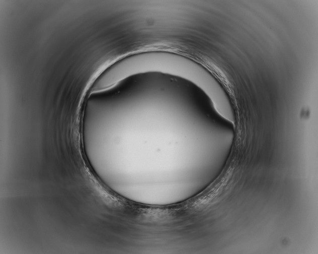 X0000099510800200806121438