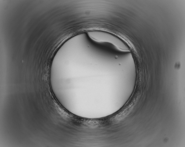 X0000099510801200806121437