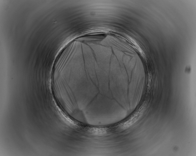 X0000099510802200806121437