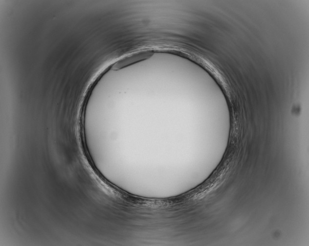 X0000099510803200806121437