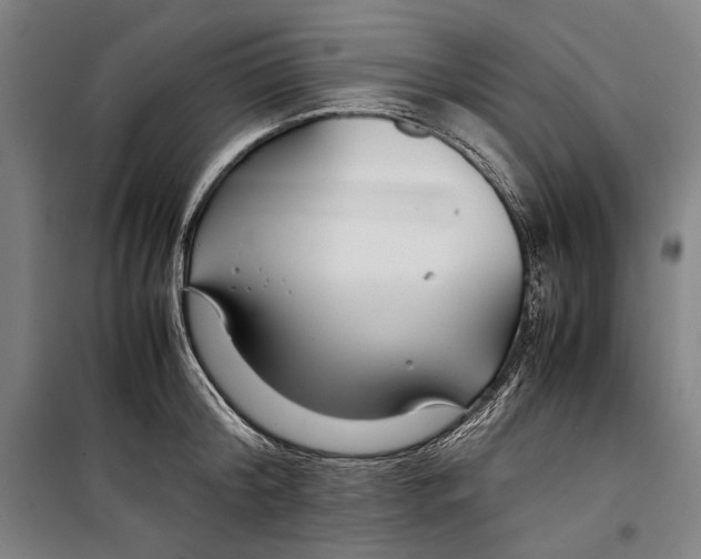 X0000099510804200806121437