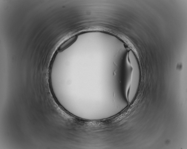 X0000099510805200806121437
