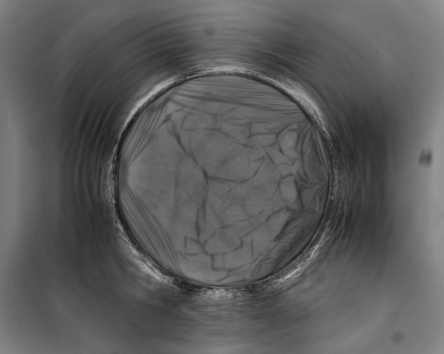 X0000099510806200806121437