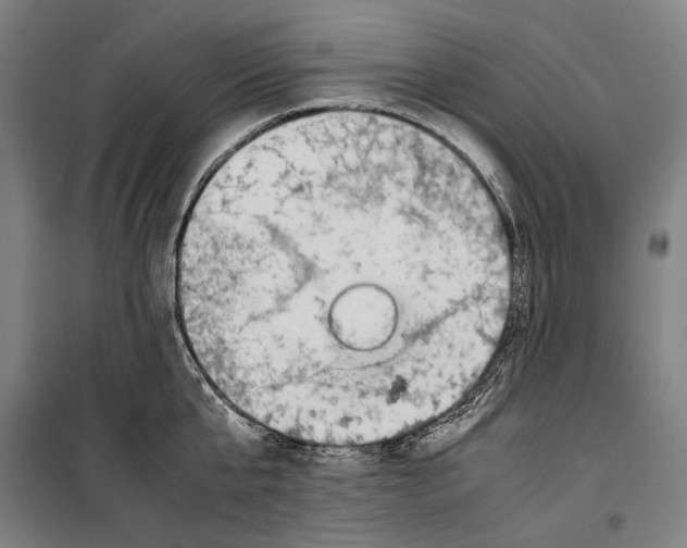 X0000099510807200806121437