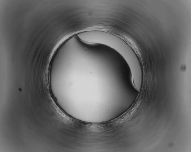 X0000099510808200806121437