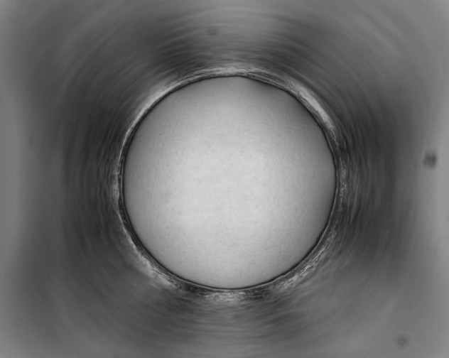 X0000099510810200806121437