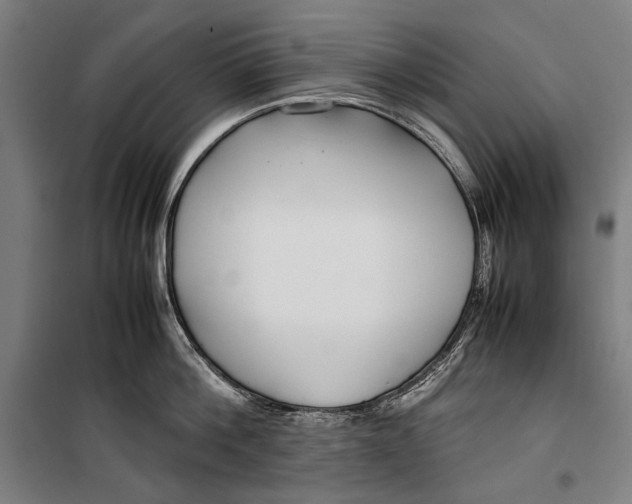 X0000099510812200806121437