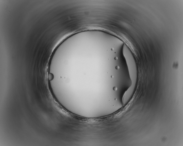 X0000099510814200806121437