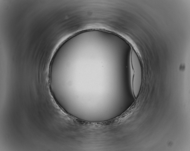 X0000099510815200806121437