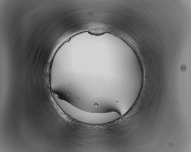 X0000099510816200806121437