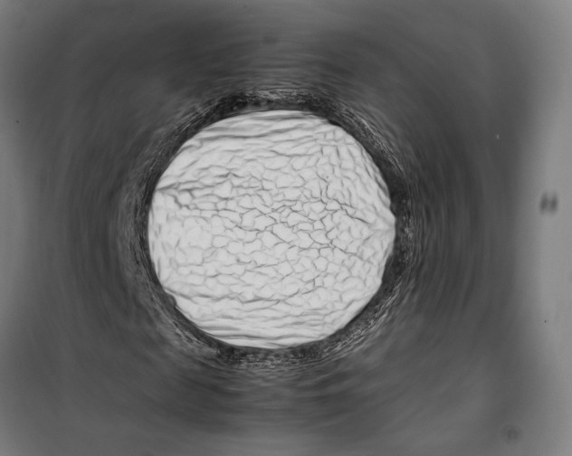 X0000099510817200806121436