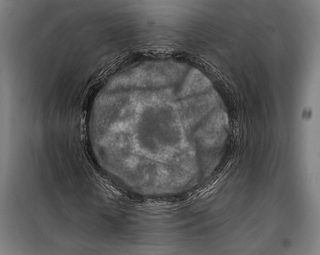 X0000099510818200806121436