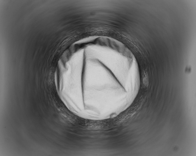 X0000099510819200806121436