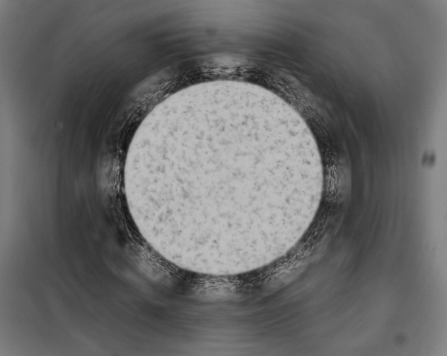 X0000099510820200806121436