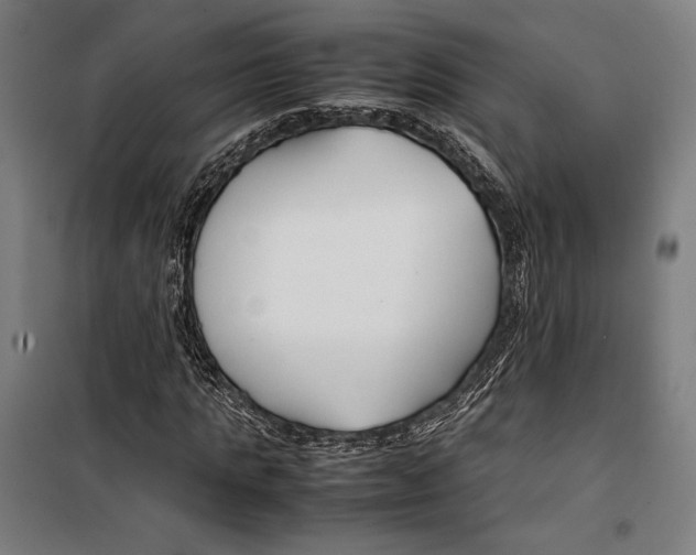X0000099510821200806121436