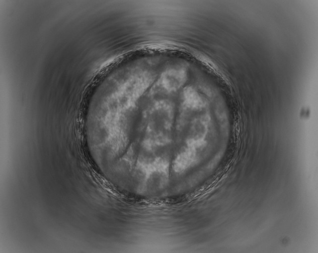 X0000099510822200806121437