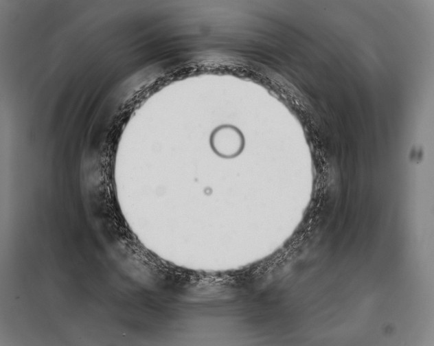 X0000099510824200806121437