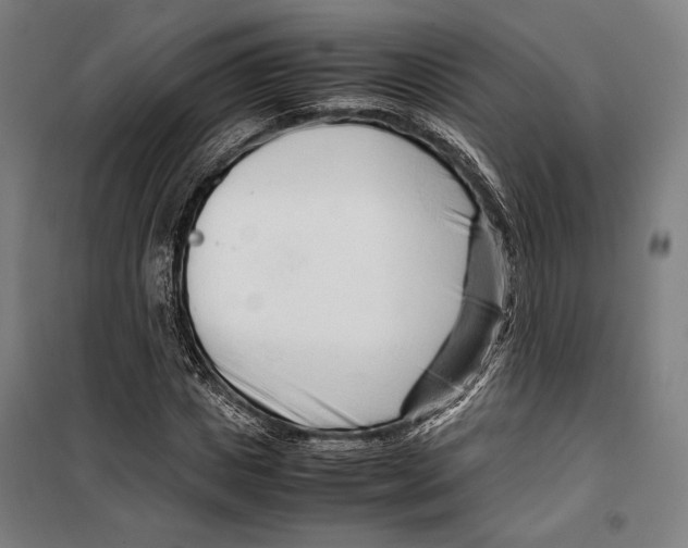 X0000099510825200806121437